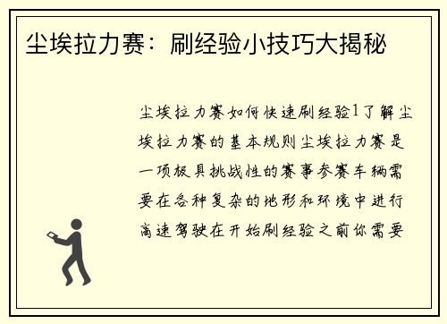 尘埃拉力赛：刷经验小技巧大揭秘